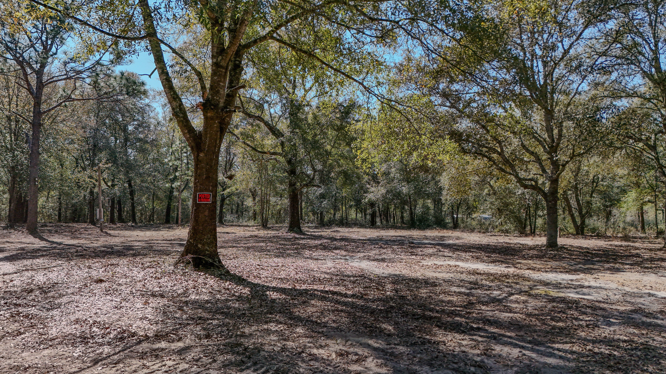 METES & BOUNDS - Land