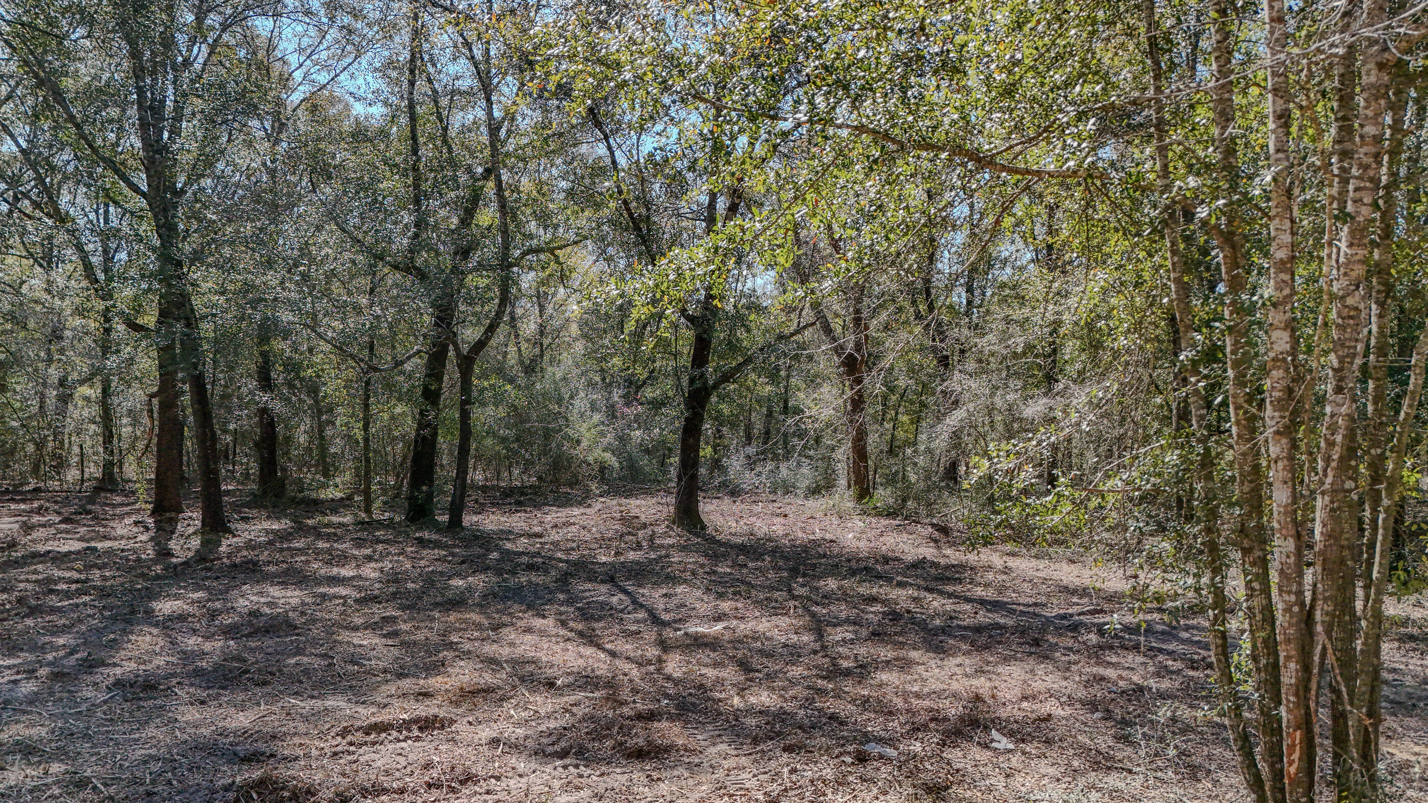 METES & BOUNDS - Land