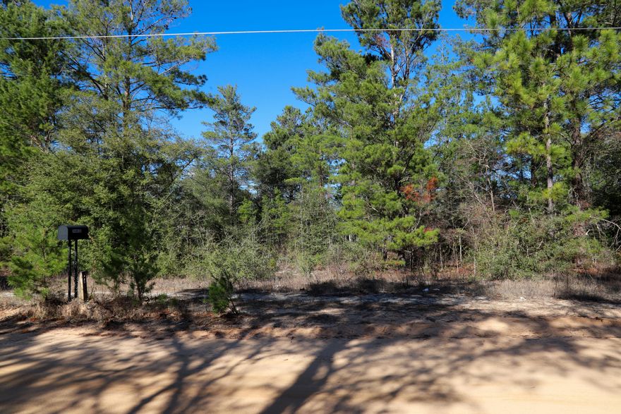 Build your getaway home or place a mobile home. No HOA fees.Vacant wooded lot 0.23 of an acre in size. Located approximately 1.1 miles from HWY 90, with convenient access to I-10, HWY 285, and HWY 331.Flood information: Not in a flood zone (Zone X - high and dry).Road access: County-maintained dirt road.Utilities: No utilities currently on the lot. Power and public water are available. Septic system required for sewer service.The property is near fishing, golfing, national parks, and within driving distance of the Emerald Coast beaches.Nearby cities include Niceville, Crestview, Fort Walton Beach, Destin, 30A / Seaside, and Panama City Beach.Adjacent Lot #23 is also available for sale. MLS # 993087Gps location: https://maps.app.goo.gl/9Aa1FNtkheg43jpo7