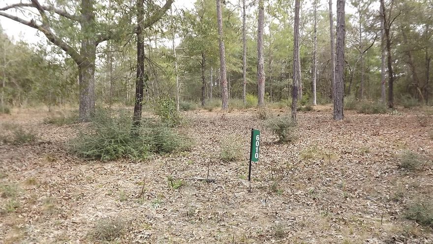 Nice high lot on a cul de sac! Build your dream home whether it is stick built or a mobile home. Property is partially cleared and utilities are available but not connected. Just a short drive from the city but you have that peaceful country setting.