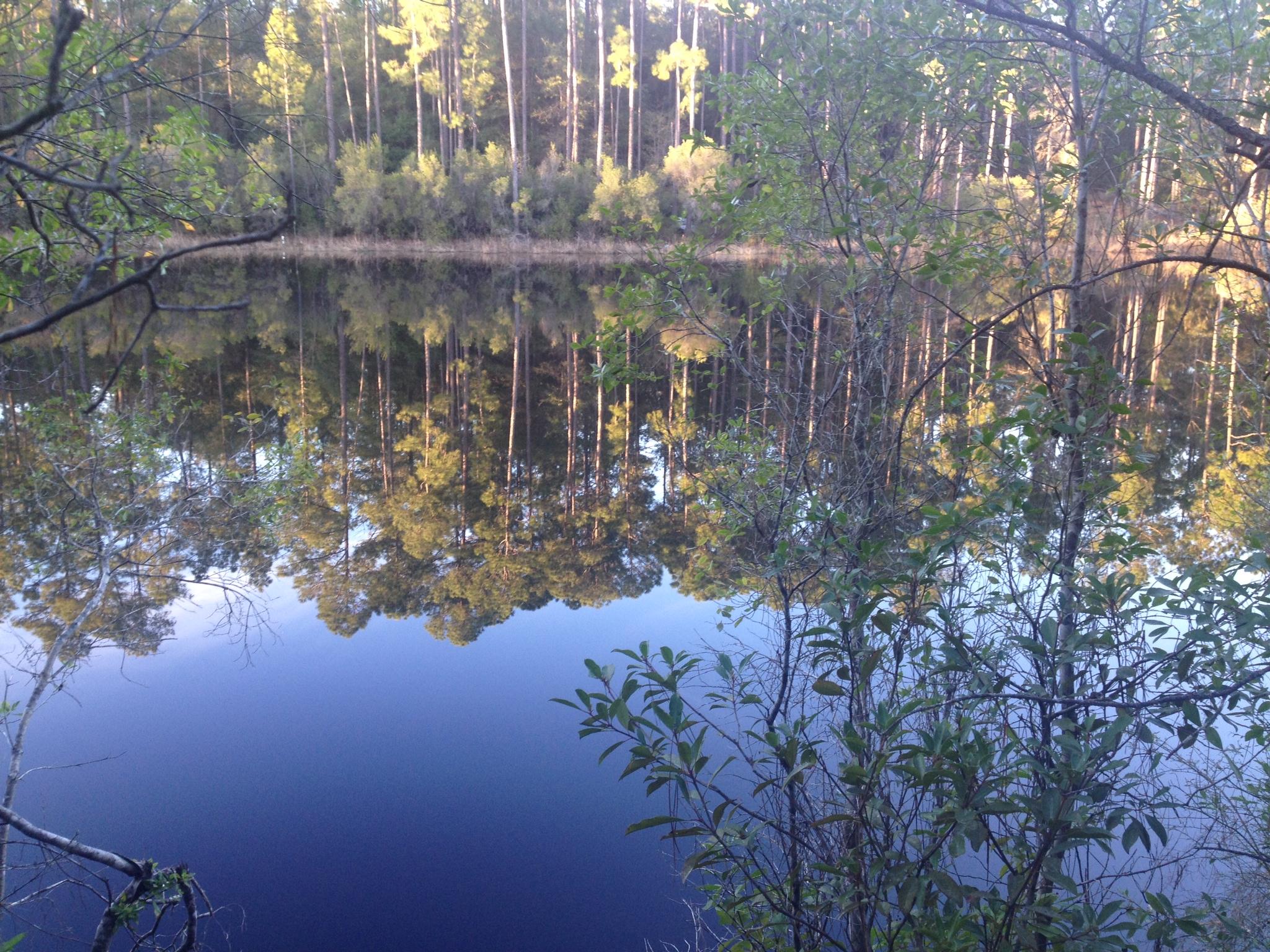 This beautiful, serene lot is easily accessed off of a main road but nestled in the country at the edge of the beautiful Fawn Lake. Lake is 29.11 acres and lot is 1.19 acres.