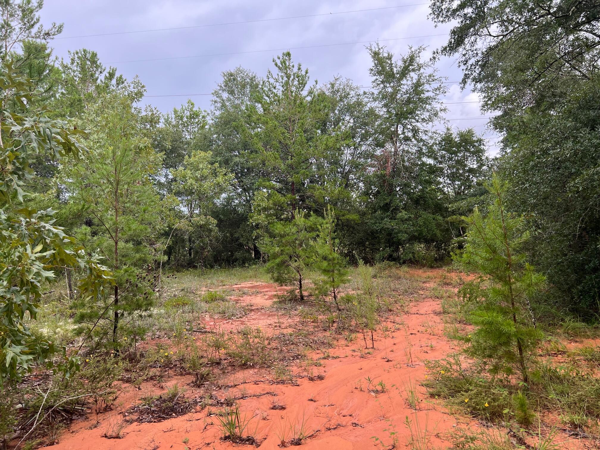 OAKWOOD HILLS UNIT 1 - Land