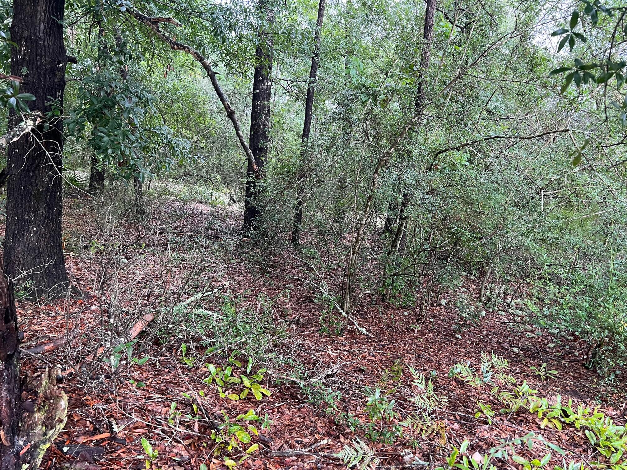 OAKWOOD HILLS UNIT 1 - Land