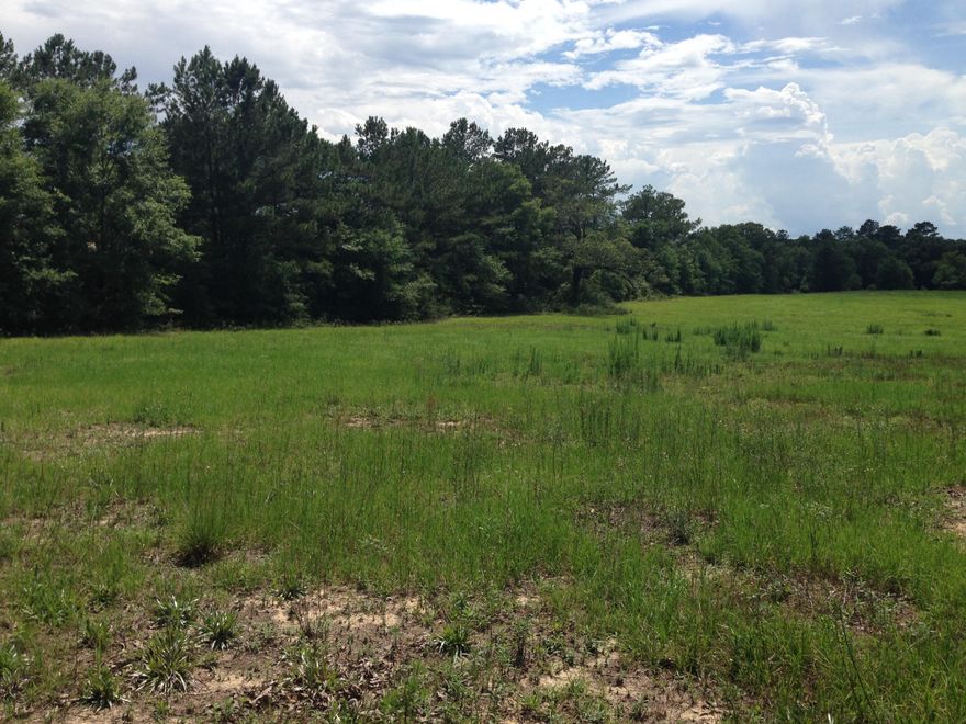 The possibilities are endless if you love country living with this Land.This rich green pasture land is used for baling hay at this time. You can have a horse farm, mobile home or build your own home on this beautiful land near Crestview.Survey was completed 2 months ago and is available with Purchase price.