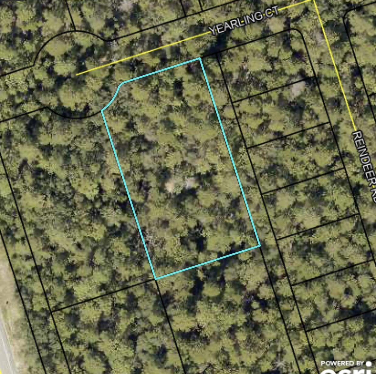 Deer Moss Creek - Land