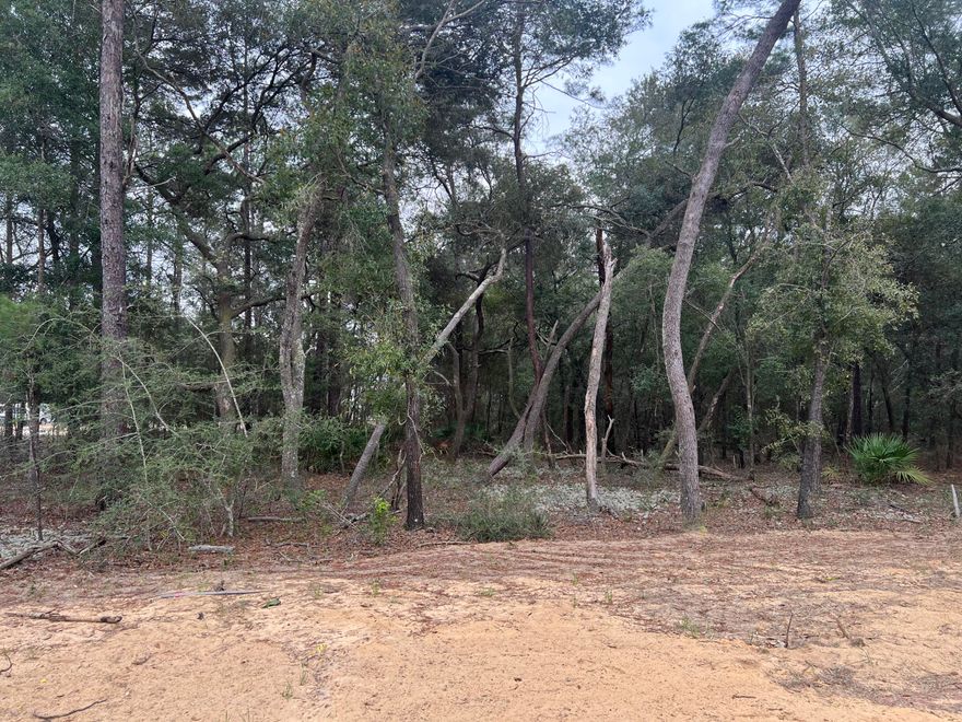 Cul-de-sac lot in desirable Deer Moss Creek(r)! This is one of only 12 large, flat lots developed in DMC Phase 7A. The cul-de-sac lots vary in size between 0.49 to 0.78 acres. If you're looking for an estate-sized lot (with room for a pool) in Niceville for your custom home, this is it. Deer Moss Creek(r) is an 1,100- acre, master-planned, mixed-use community in Niceville, FL. The east side of this lot borders a 20' natural wooded buffer. Community plans include a nature trail, bike lanes, parks, pools, office and retail space. Sidewalks are 5' wide and home plans must be approved by the Town Architect.
