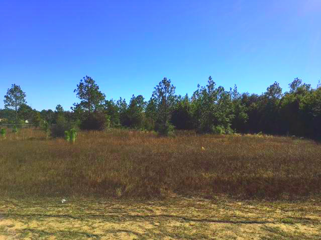 Enjoy 8 Beautiful Acres in a great location in Milton. Partially cleared and ready for your new home. Lot has a dirt trail that goes to the back of property. Zoned agriculture and rural residential. Horses and mobile homes allowed. Easy access to Hwy 90 and I10.