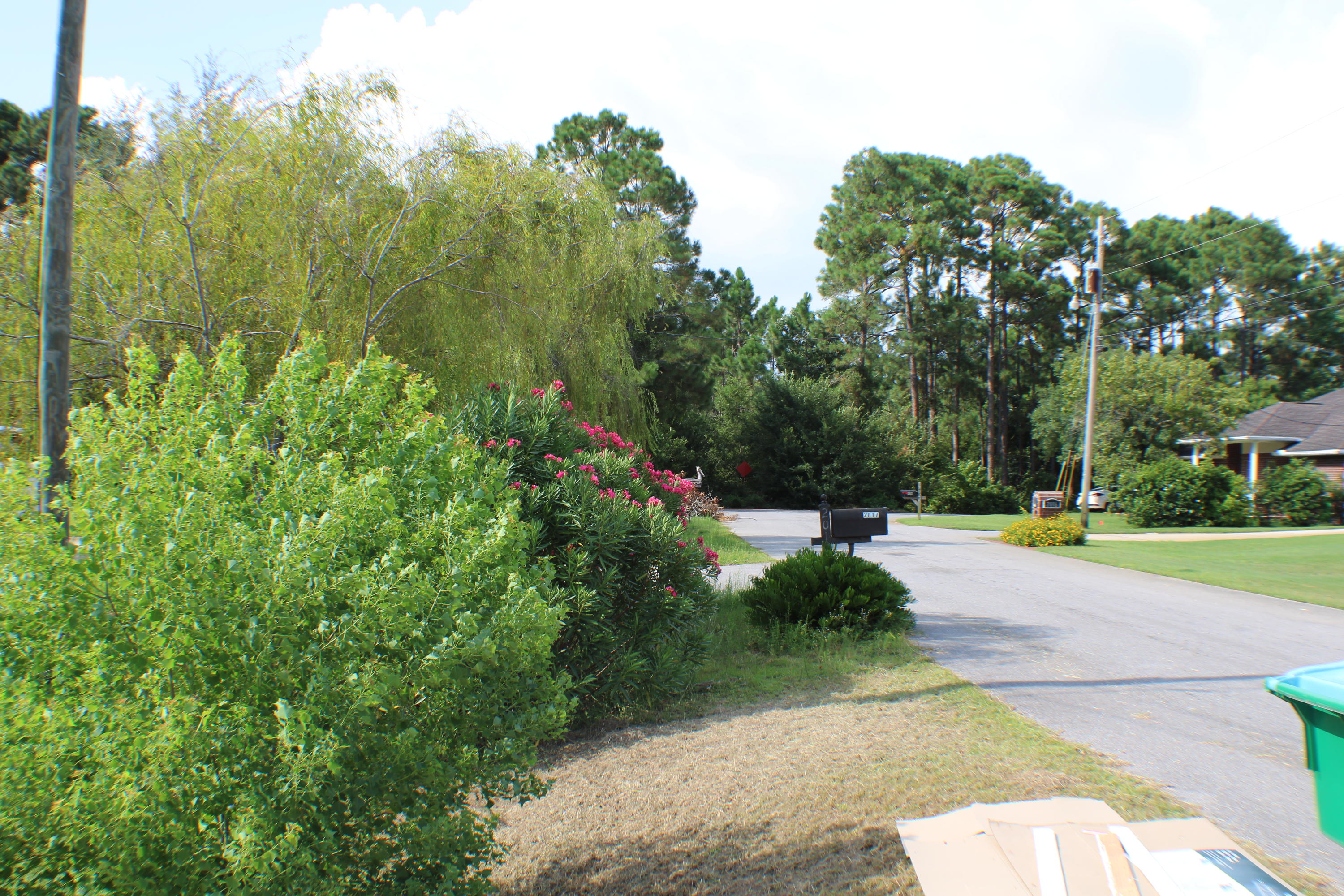 HOLLEY BY THE SEA - Residential