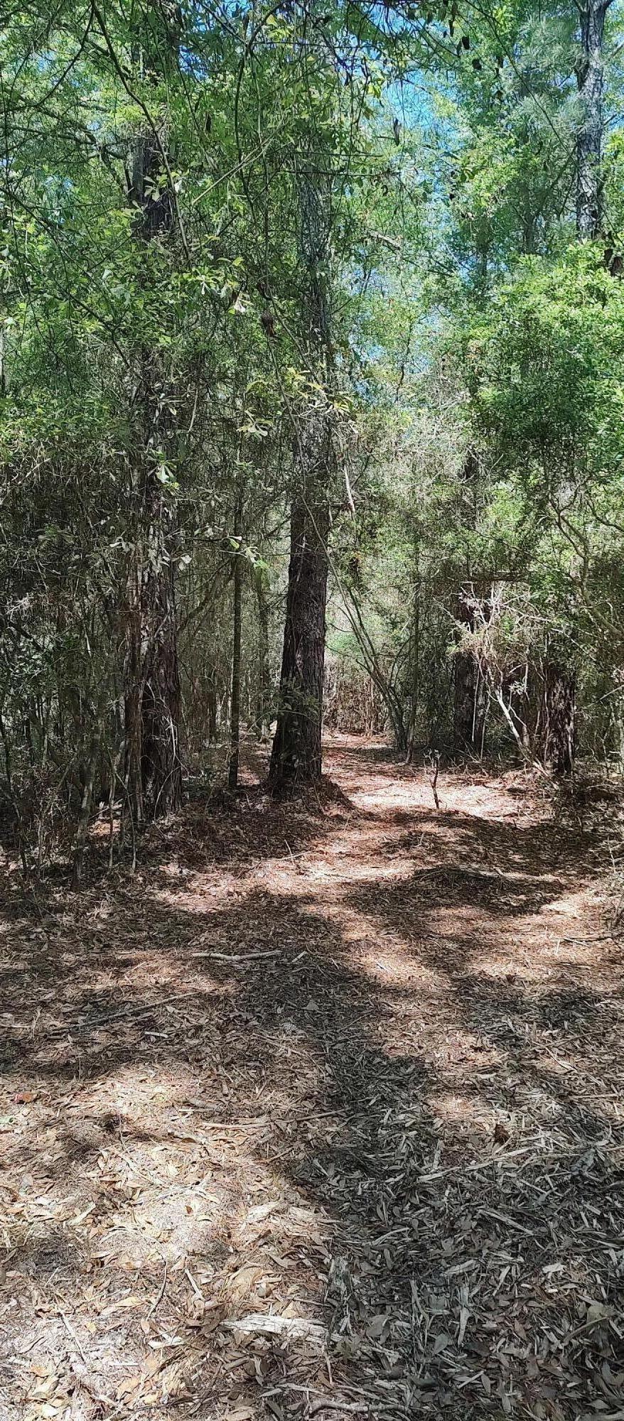Beautiful one acre lot with an access easement located in Shoal River Plantations, Inc.This is a private community that lives in harmony with nature. The beautiful Shoal River runs through this community. This lot is across the road from the river. Wild turkeys, deer and bald eagles are in abundance in and around this property. It is truly a nature lovers paradise and a great place to build your dream home. There are no HOA fees. A path has been cleared through the access easement to reach the lot. There are two trees in the access easement that will have to be removed. The price has been lowered to compensate for this situation.