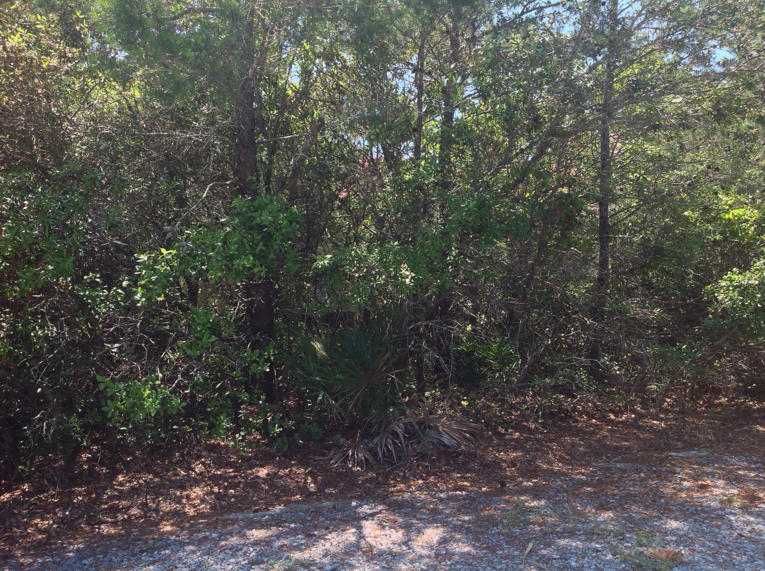 EMERALD WATERS VILLAGE - Land