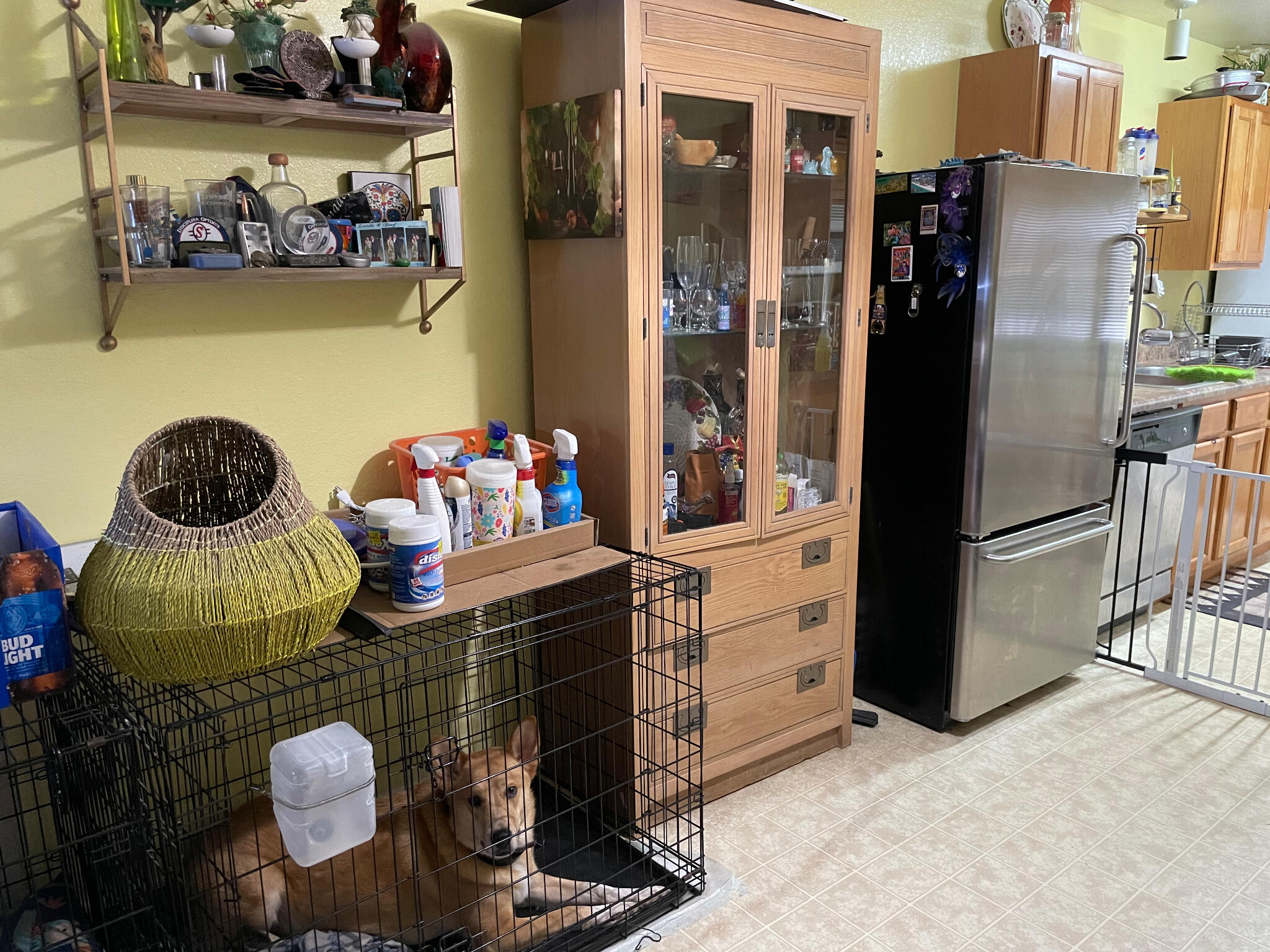 QUAIL LAKE T/H - Residential