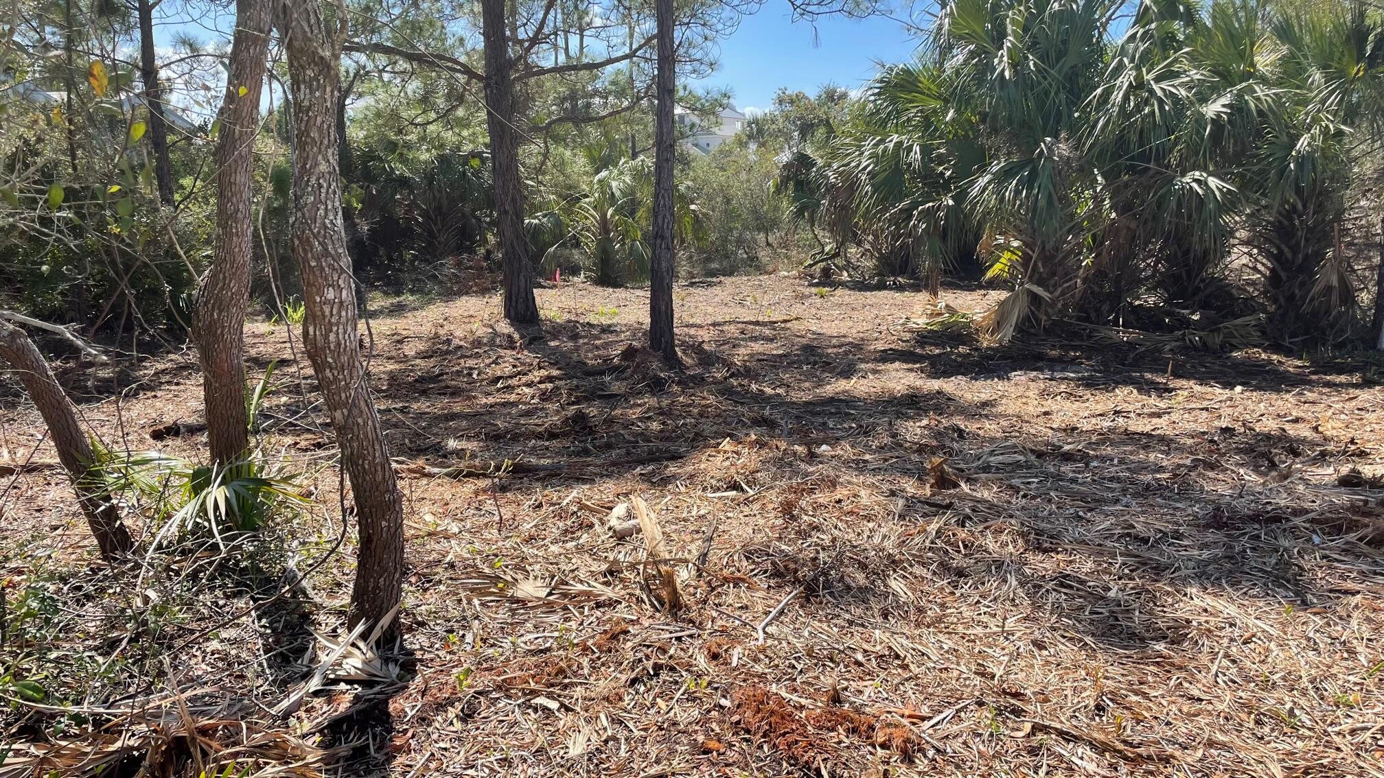 CARILLON BEACH - Land