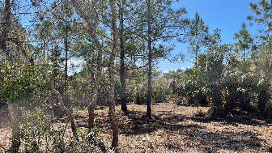 Exceptionally large lot, across from Lake Powell, with amazing potential views.  Lot can accommodate a two-story house with tower and a two-story guest house.