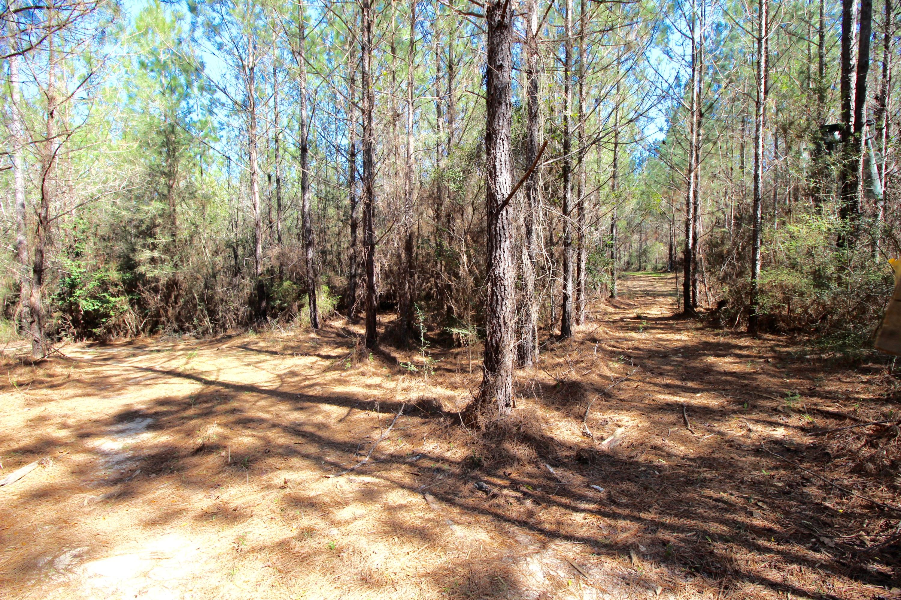 METES & BOUNDS - Land