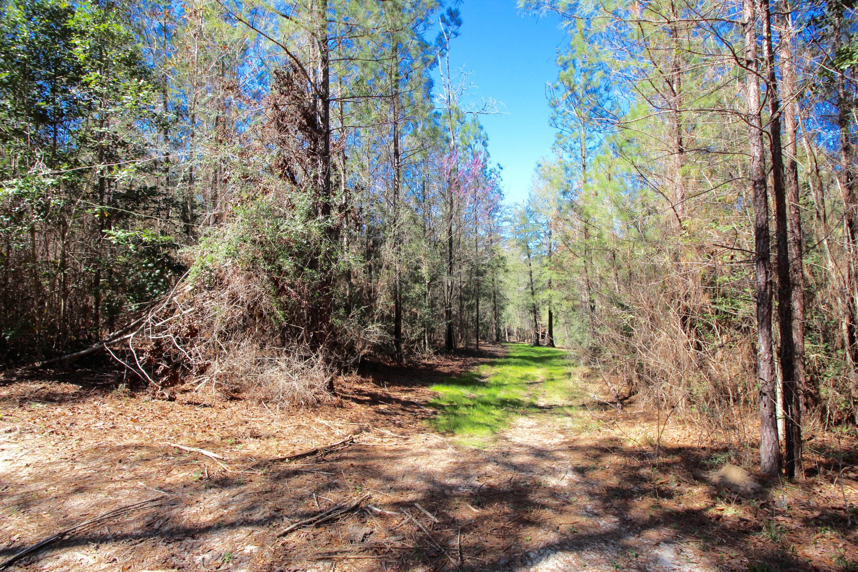 METES & BOUNDS - Land