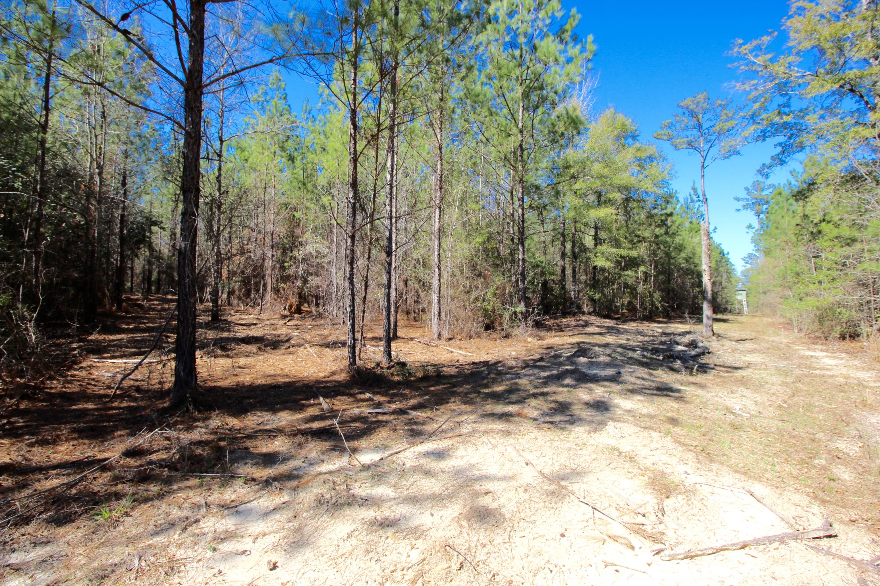 METES & BOUNDS - Land