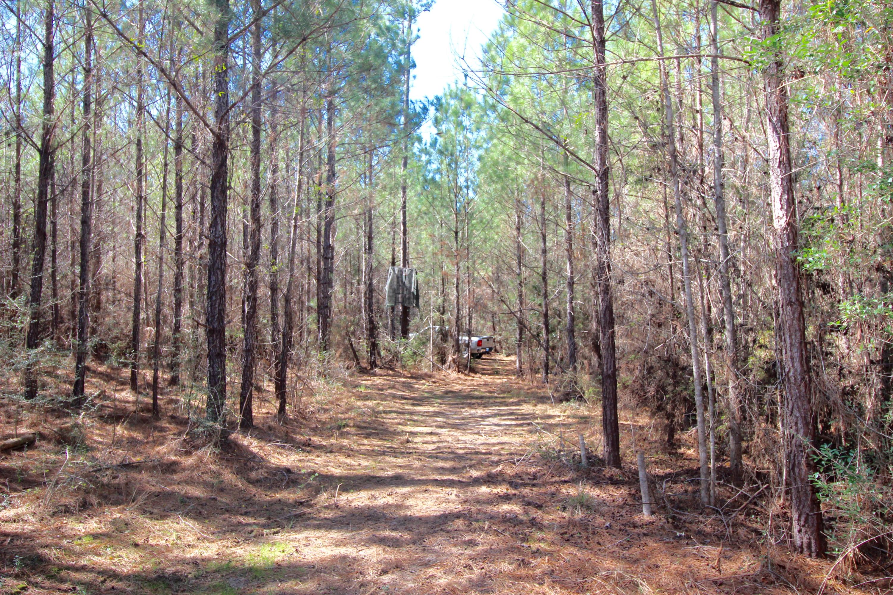 METES & BOUNDS - Land