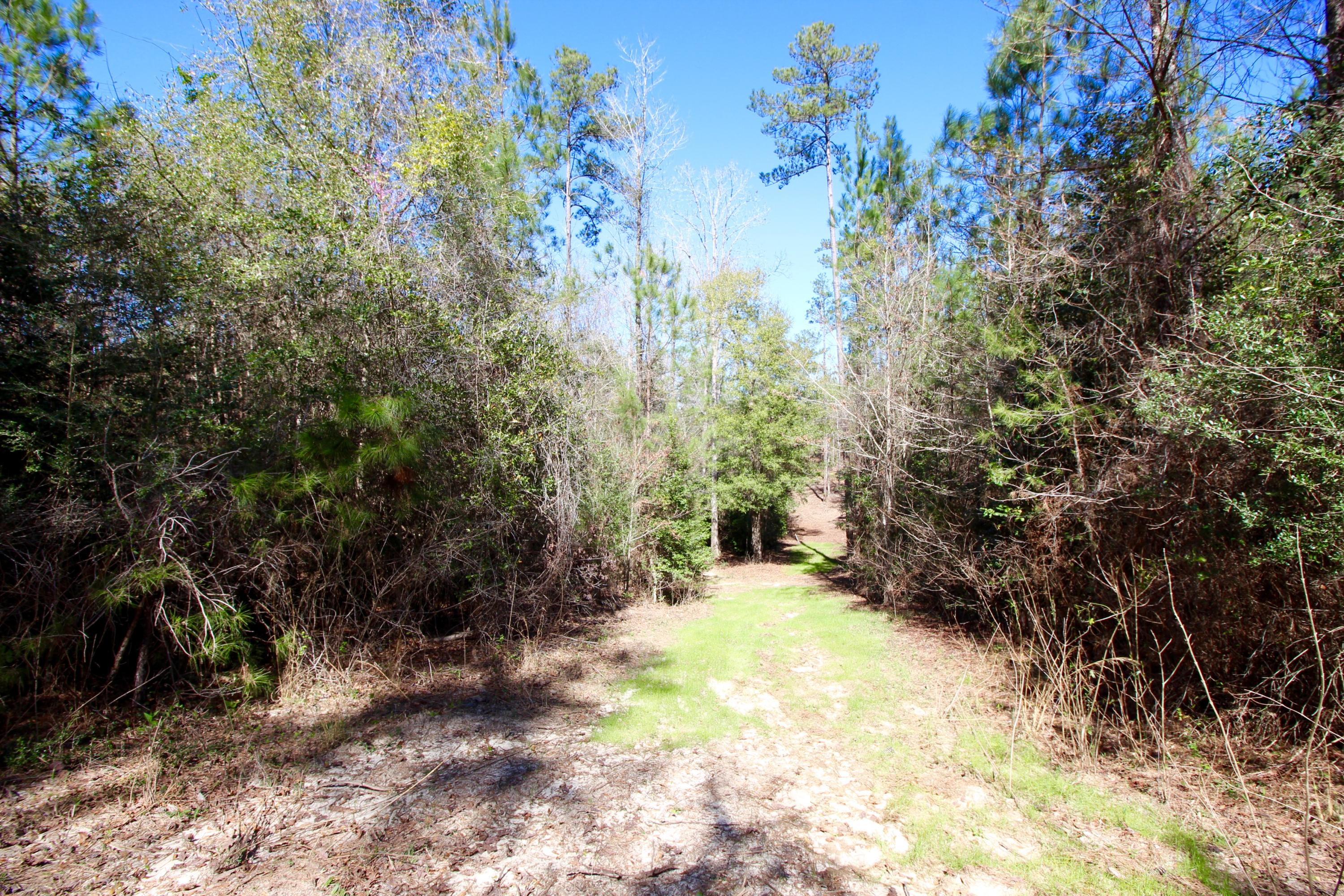 METES & BOUNDS - Land