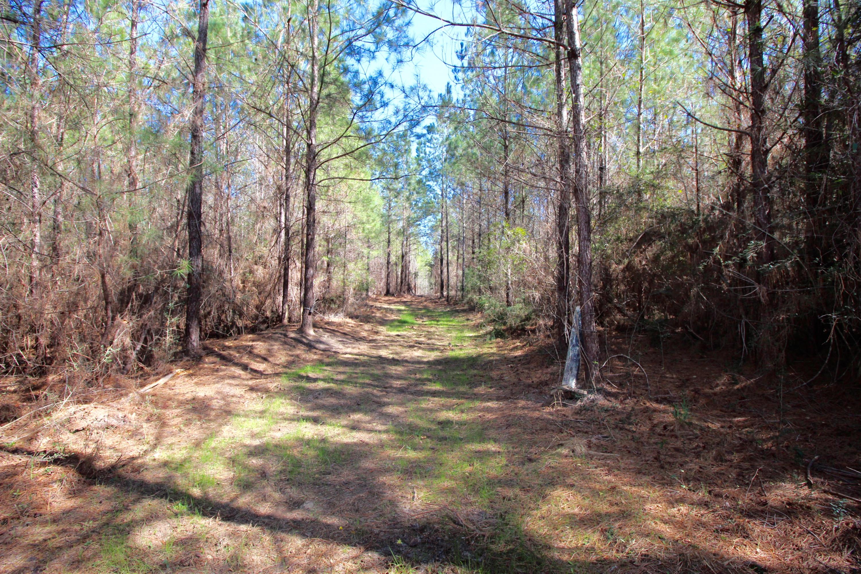 METES & BOUNDS - Land