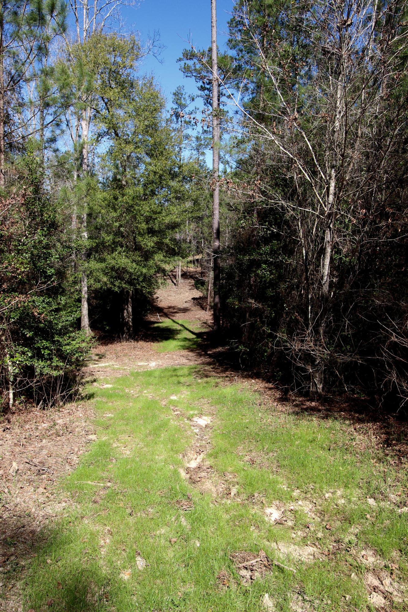 METES & BOUNDS - Land