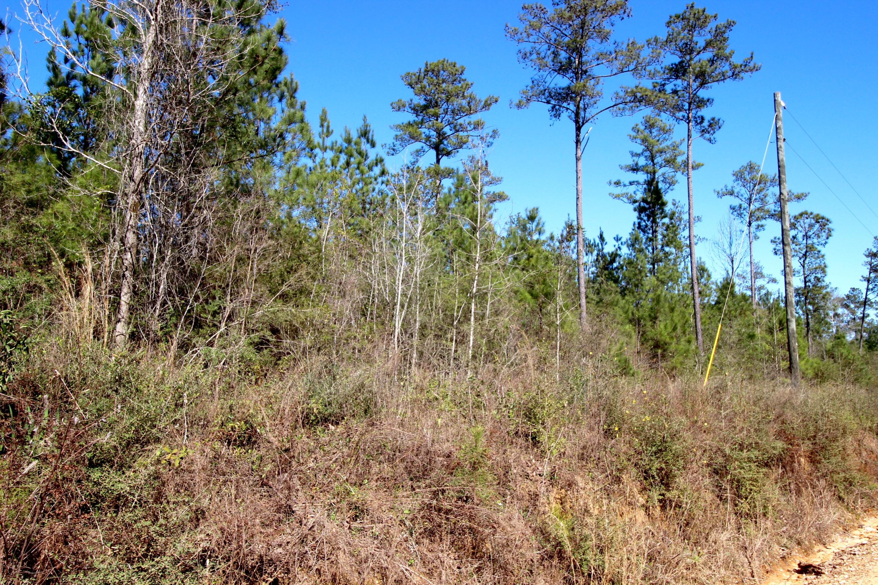 METES & BOUNDS - Land