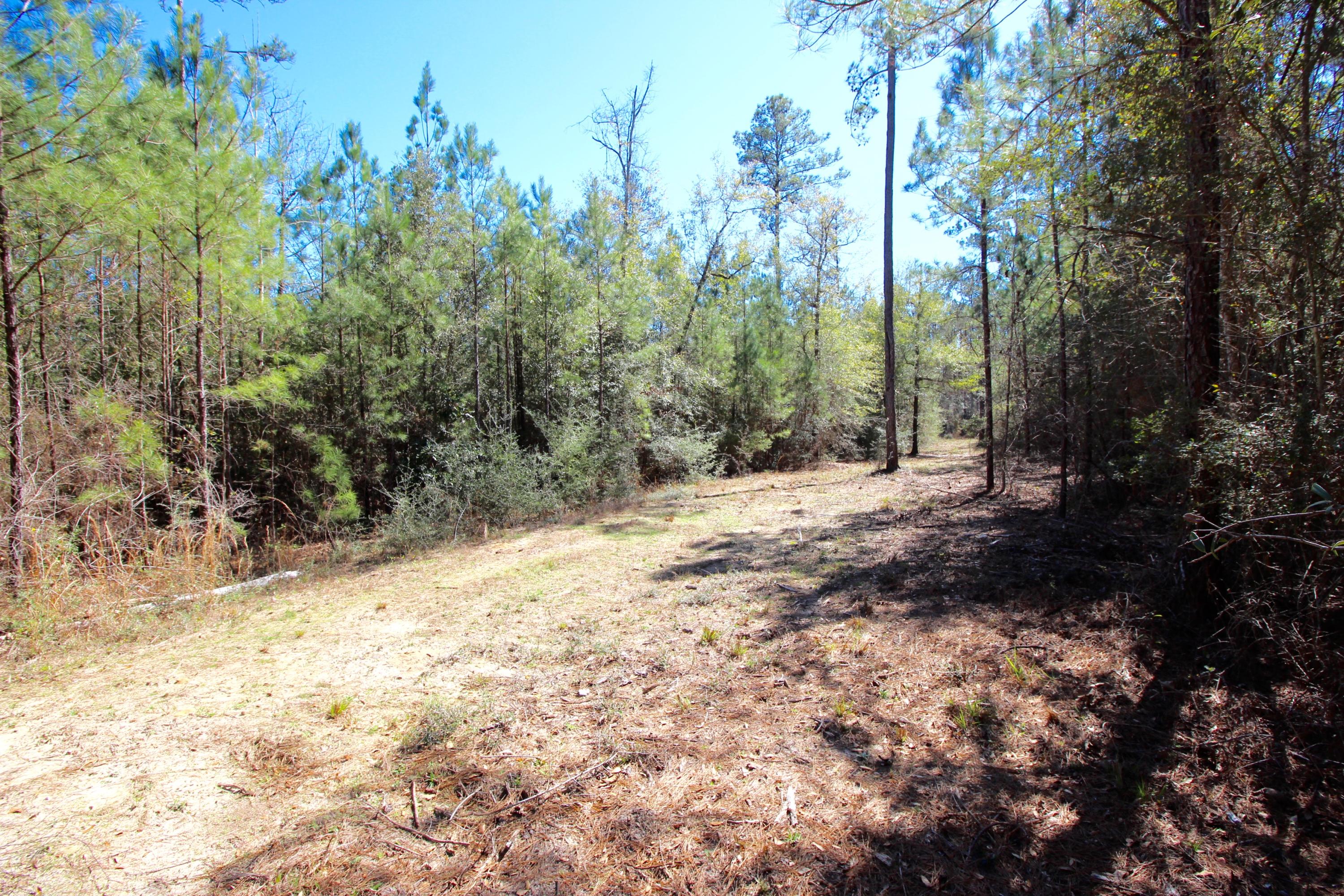 METES & BOUNDS - Land