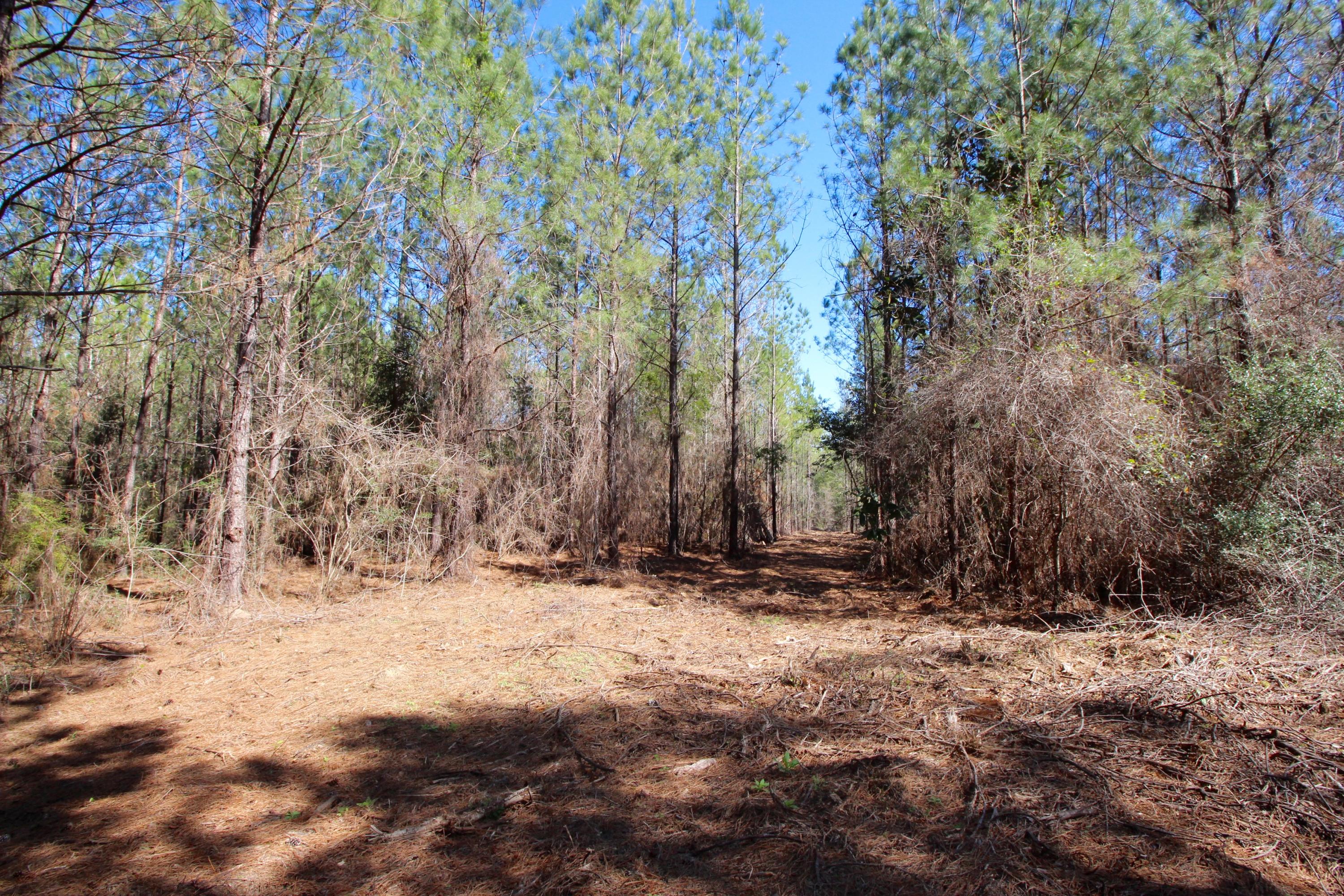 METES & BOUNDS - Land