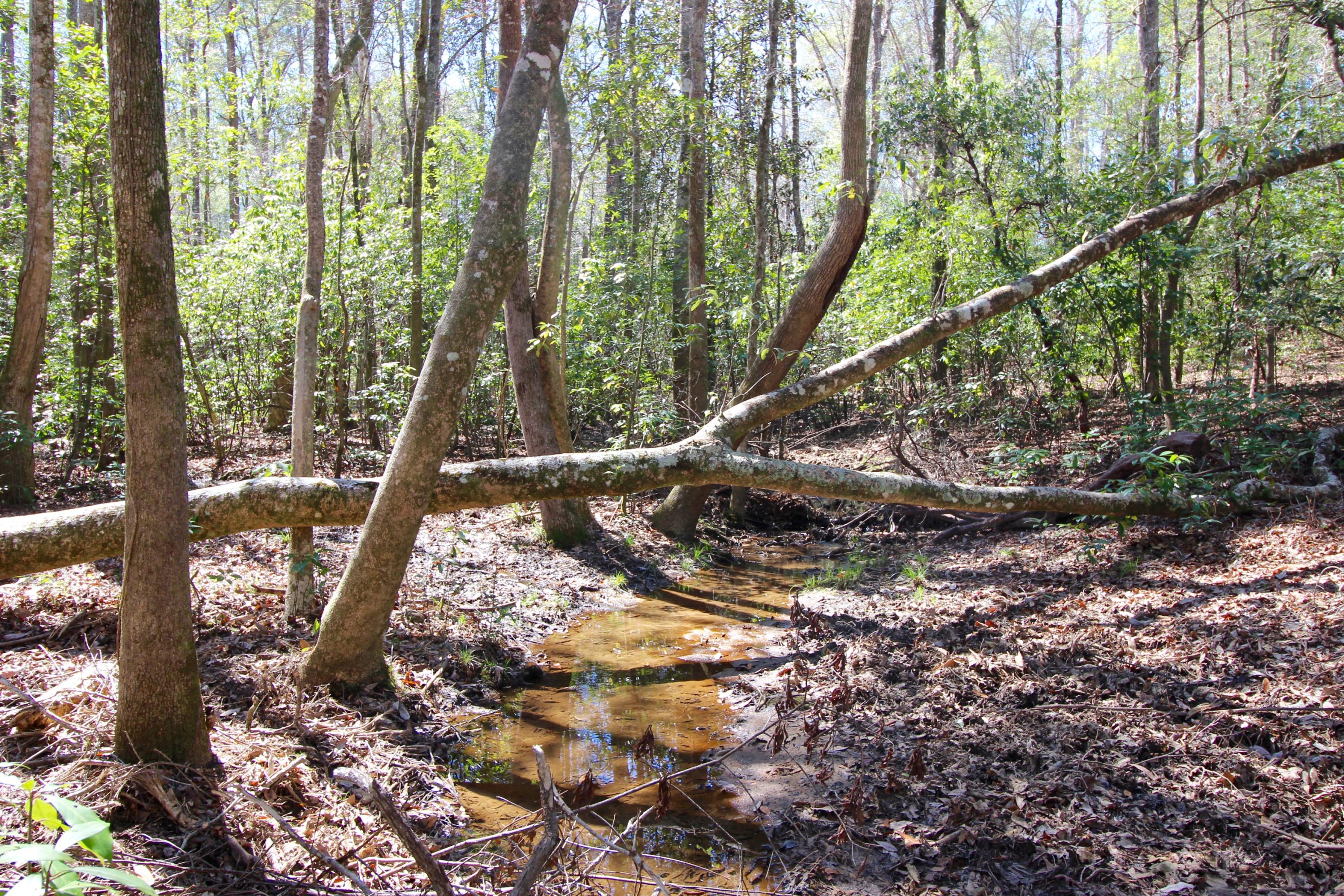 METES & BOUNDS - Land