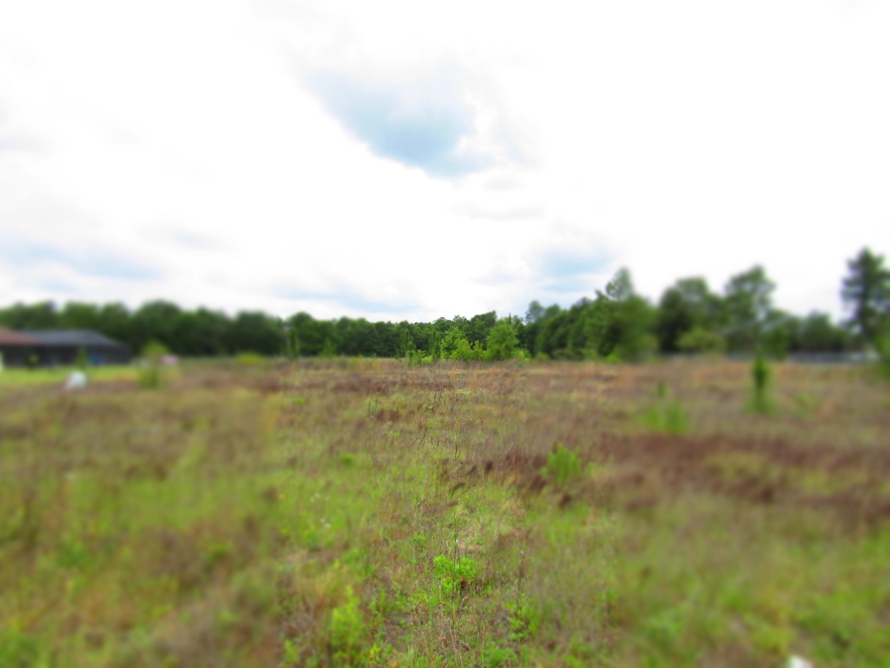 ONE ACRE LOT IN VIRGINIA RIDGE WITH PLENTY OF ROOM TO BUILD YOUR DREAM HOME. 2000 MINIMUM SQUARE FOOTAGE REQUIRED, NOT INCLUDING GARAGE. PLENTY OF ROOM FOR A POOL, OR WORKSHOP. ALL VERY NICE, LARGE HOMES ALREADY IN SUBDIVISION. THIS IS A ONE STREET SUBDIVISION AND CONVENIENT TO INTERSTATE 10, BAKER AND CRESTIVEW.septic tank required