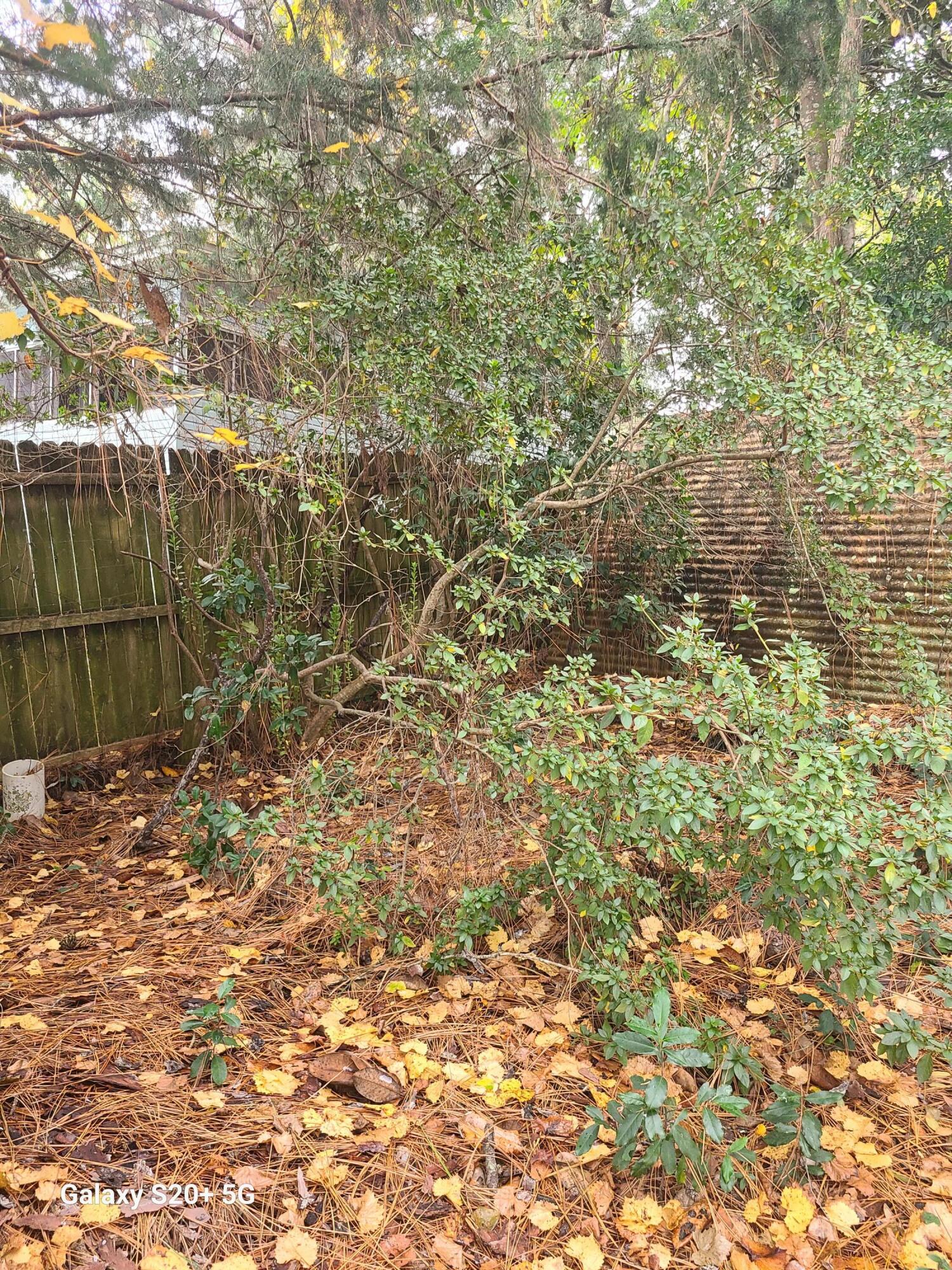 JUNIPER LAKE PINES - Land