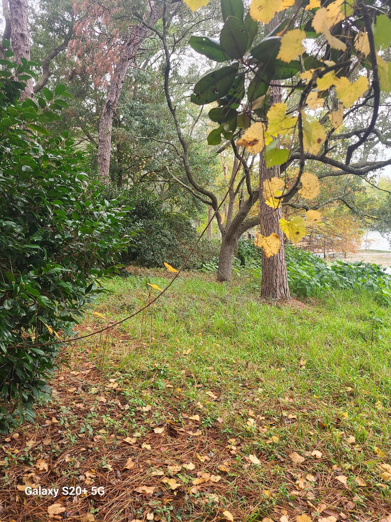 JUNIPER LAKE PINES - Land