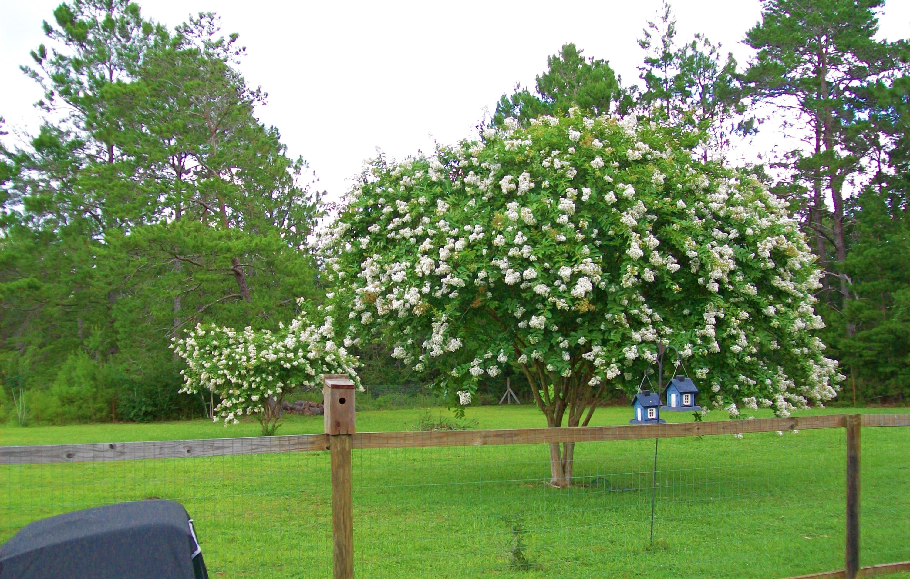 PRCL C DESC MORE AS:COM AT THE NW/C OF SEC RUN S 00 DEG 00'00''W 658.04 FT RUN N 84 DEG 32'53''E 174 - Residential