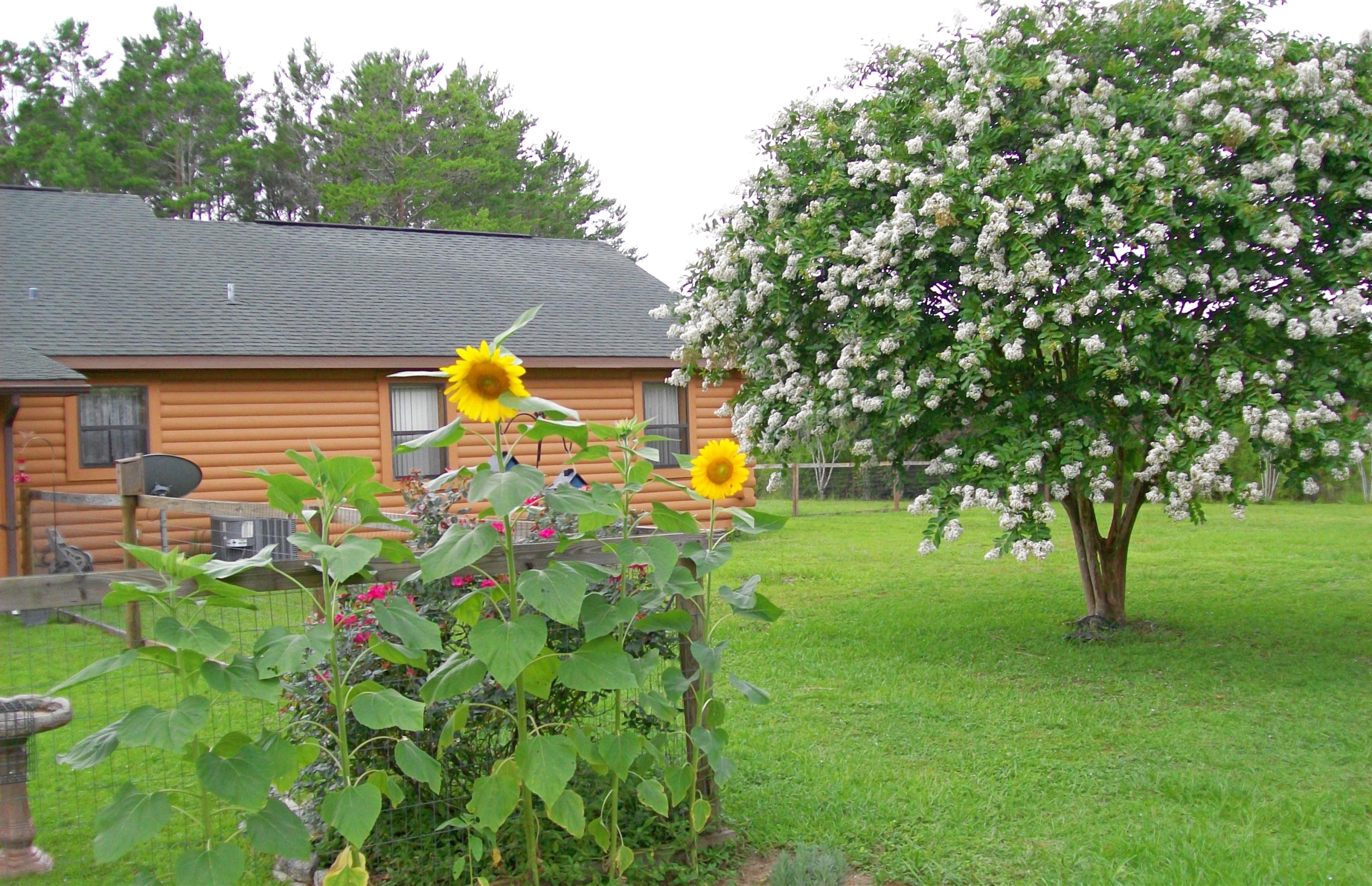 PRCL C DESC MORE AS:COM AT THE NW/C OF SEC RUN S 00 DEG 00'00''W 658.04 FT RUN N 84 DEG 32'53''E 174 - Residential