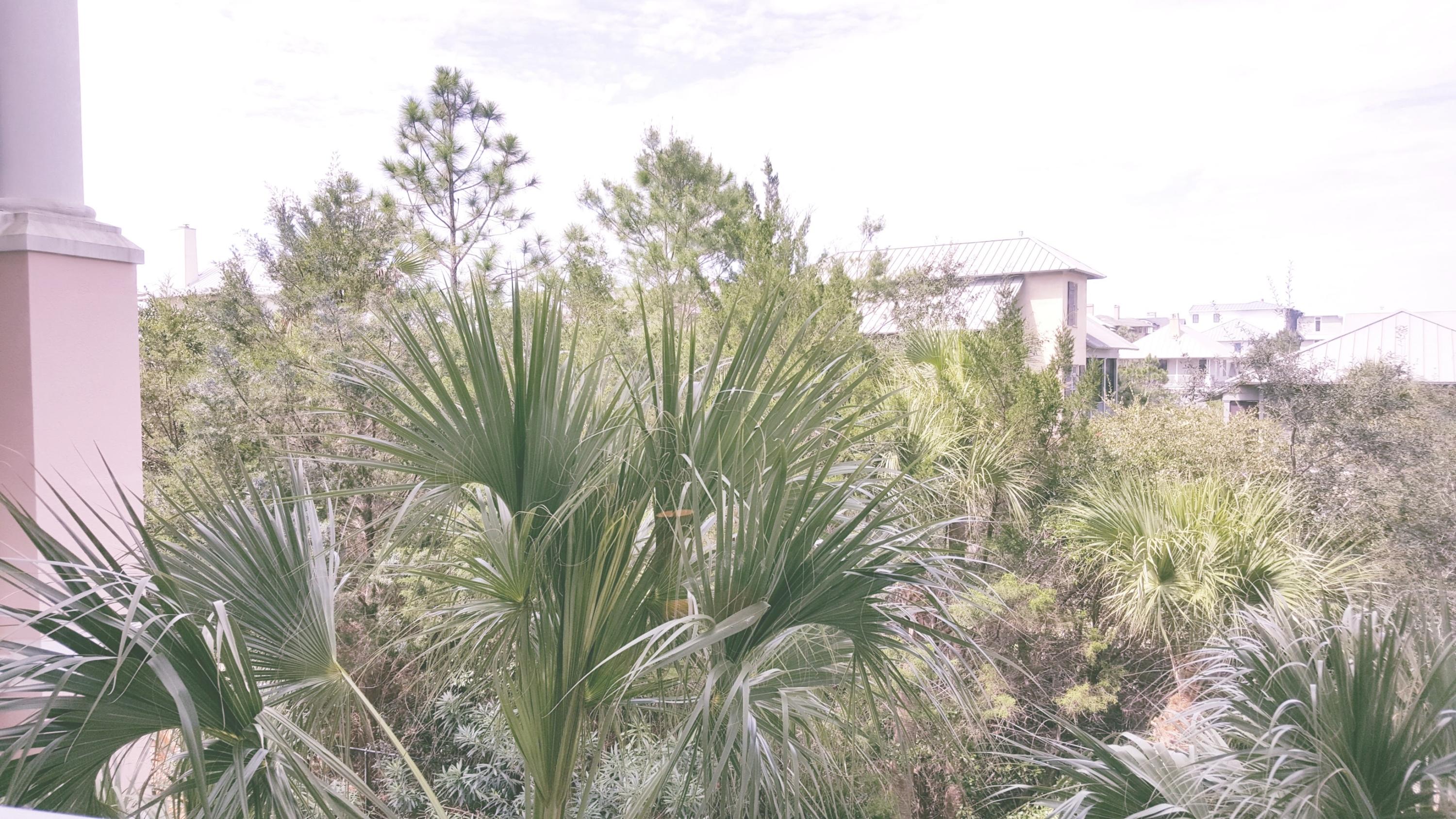 INN AT BLUE MOUNTAIN BEACH - Residential