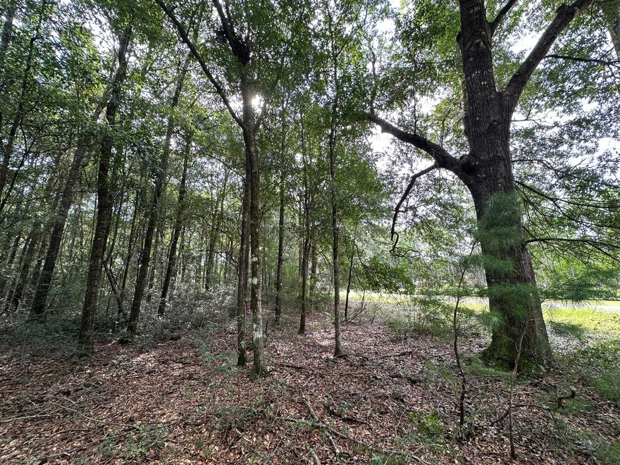 Crestview - 1.66 AcresSpread out and enjoy the possibilities on this 1.66-acre lot in Crestview. The generous size offers room for your future home, outdoor spaces, and more -- all in a peaceful north Crestview setting. With plenty of space to design and create, this property is a blank canvas for your vision. Come take a look and imagine what you could build here.