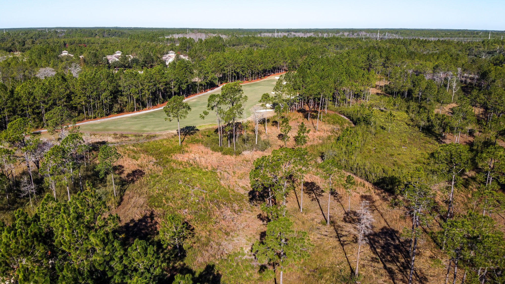 WILD HERON PHASE I - Land