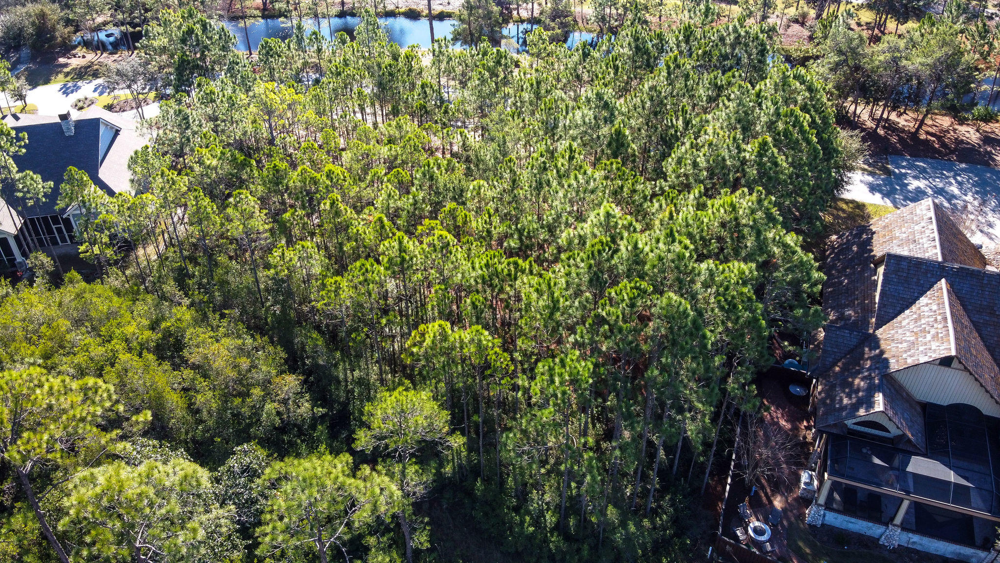 WILD HERON PHASE I - Land