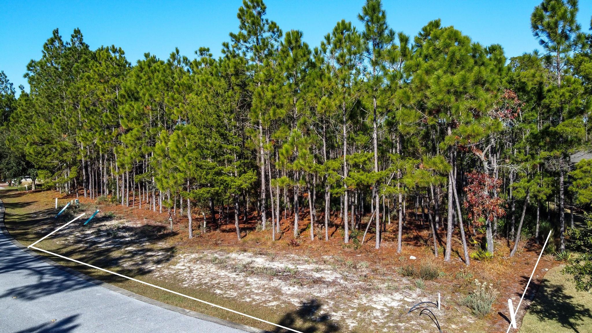 WILD HERON PHASE I - Land