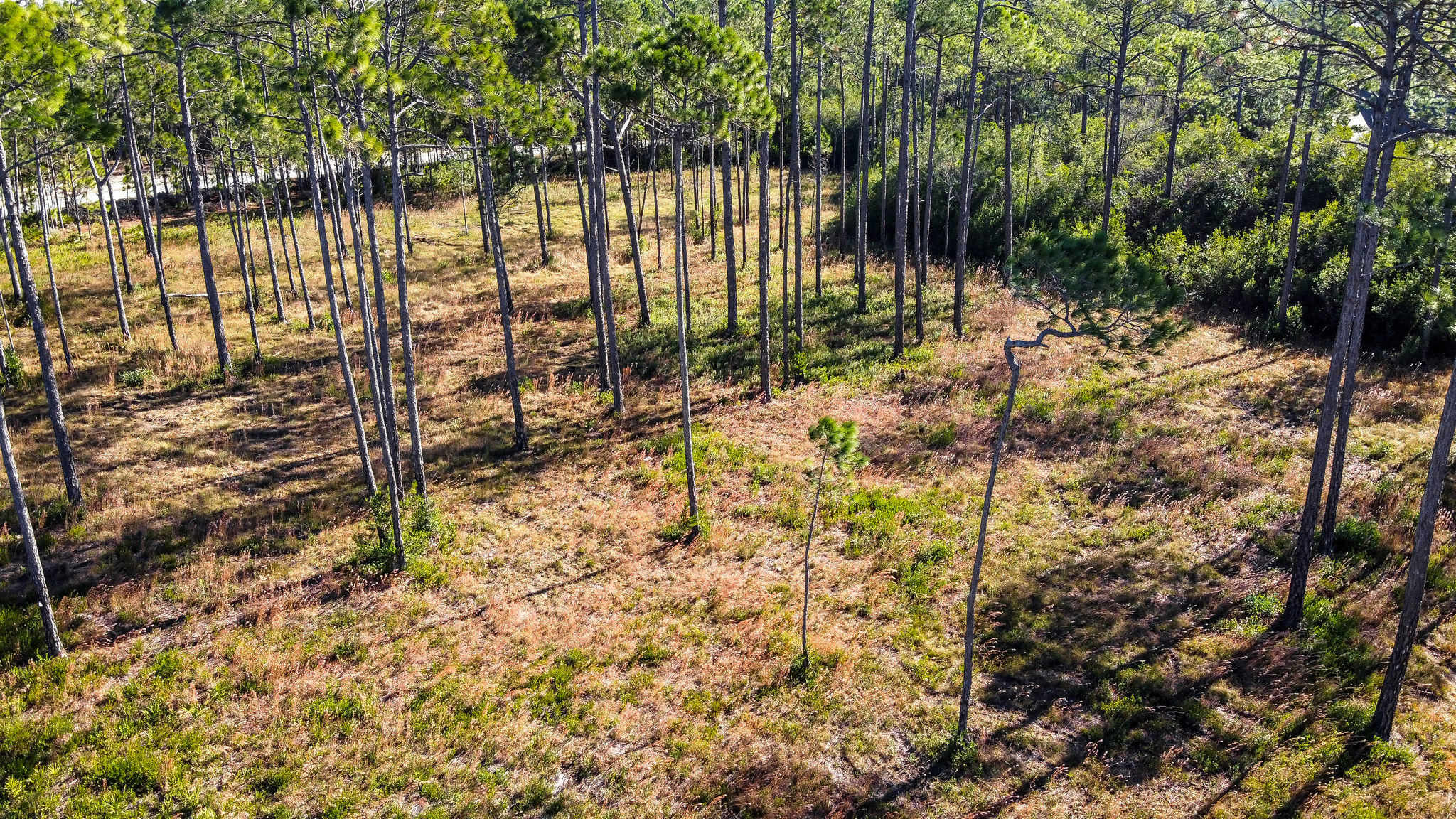 WILD HERON PHASE I - Land