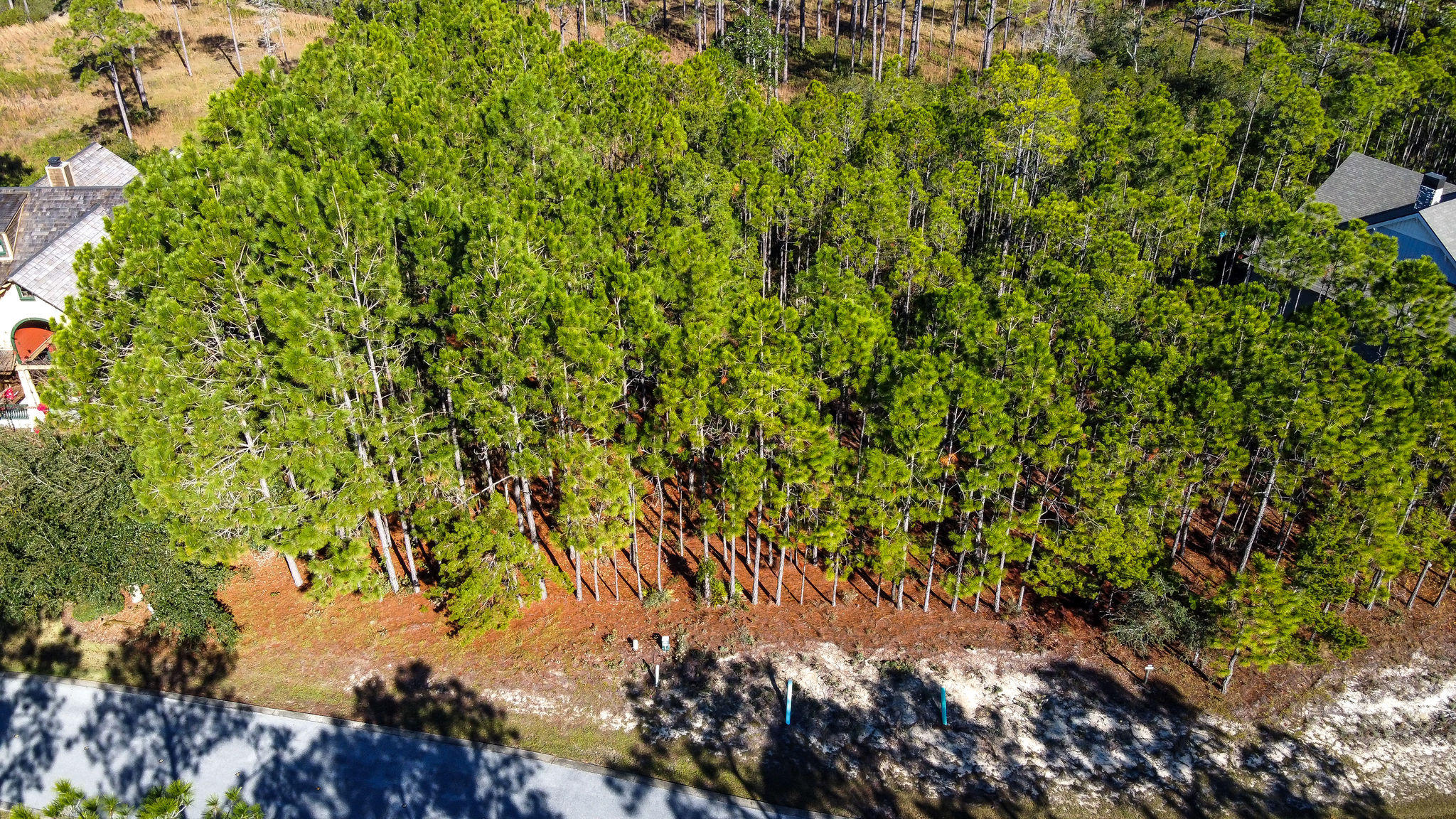 WILD HERON PHASE I - Land