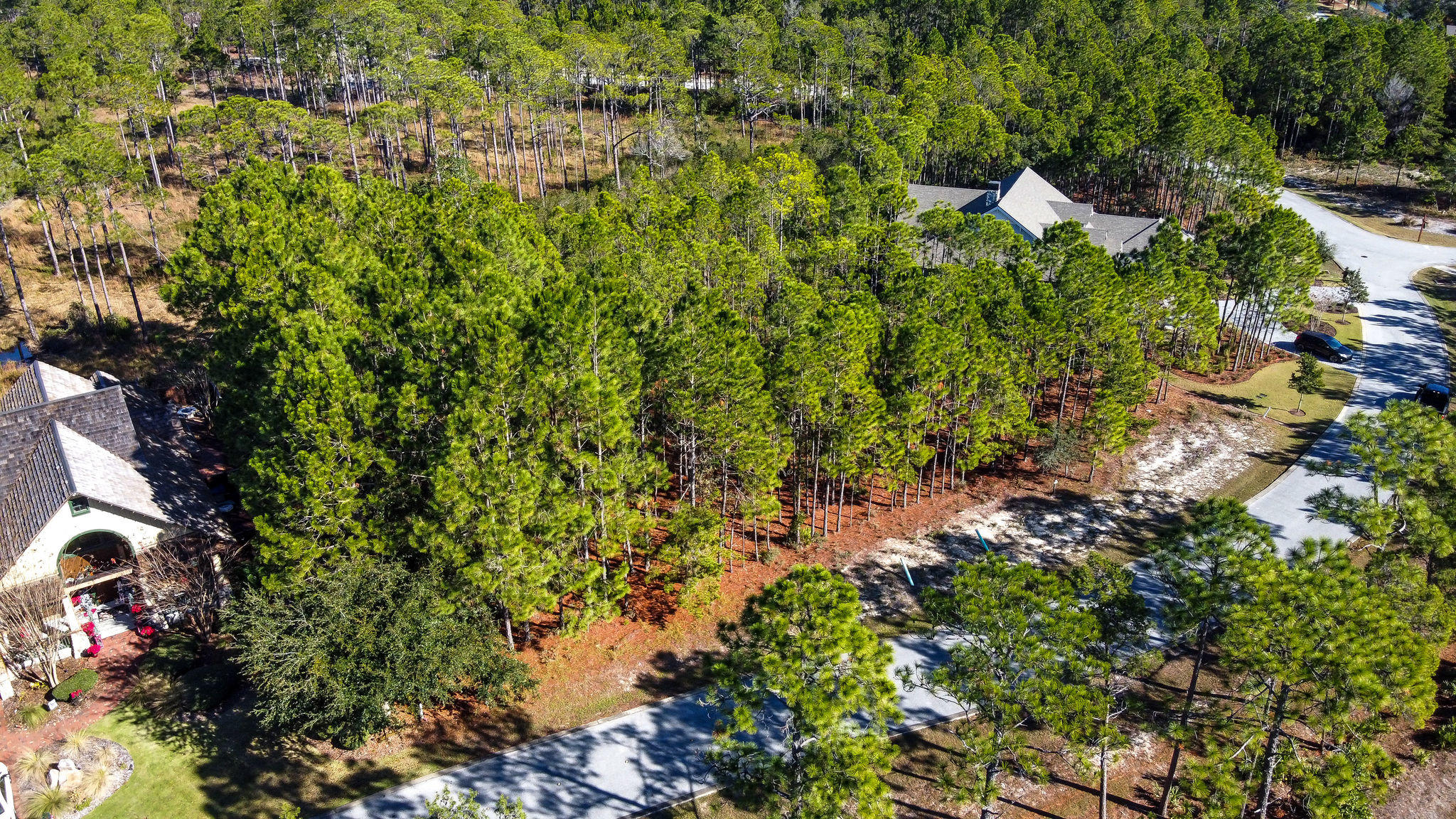 WILD HERON PHASE I - Land