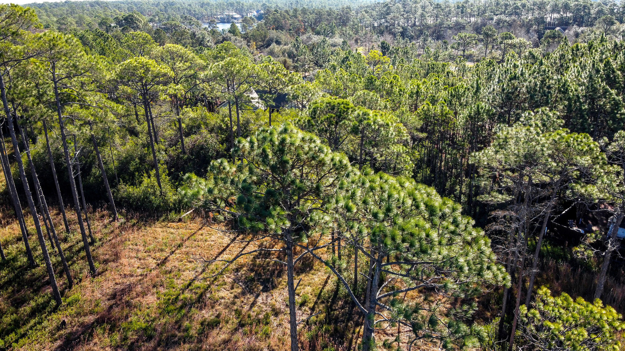 WILD HERON PHASE I - Land