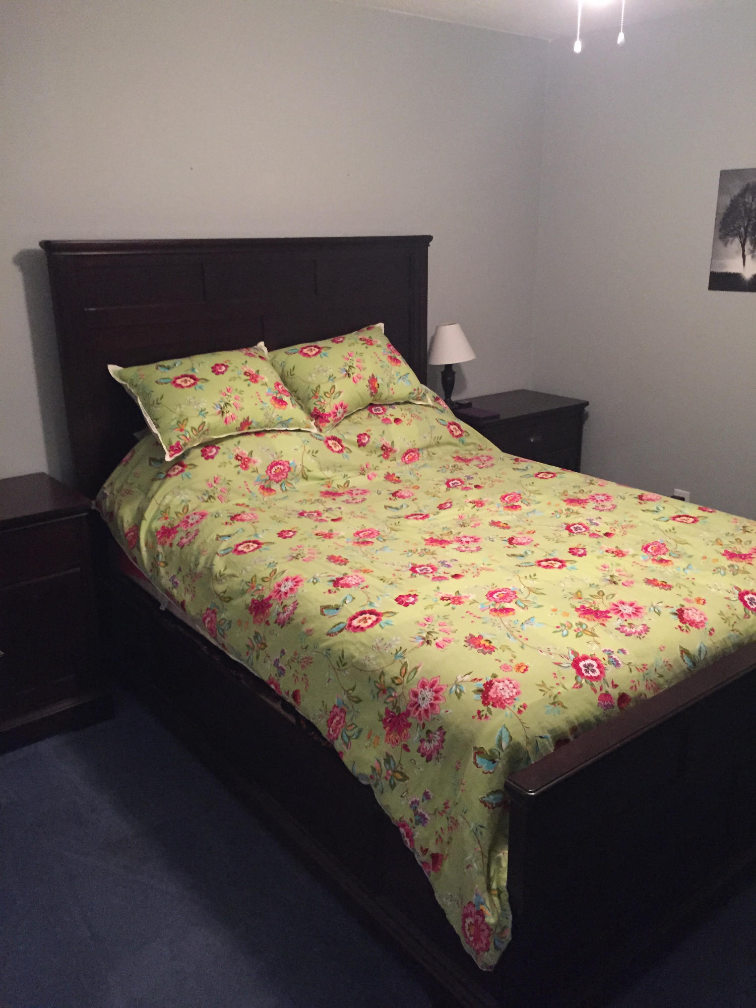 PALMETTO TRACE - Residential