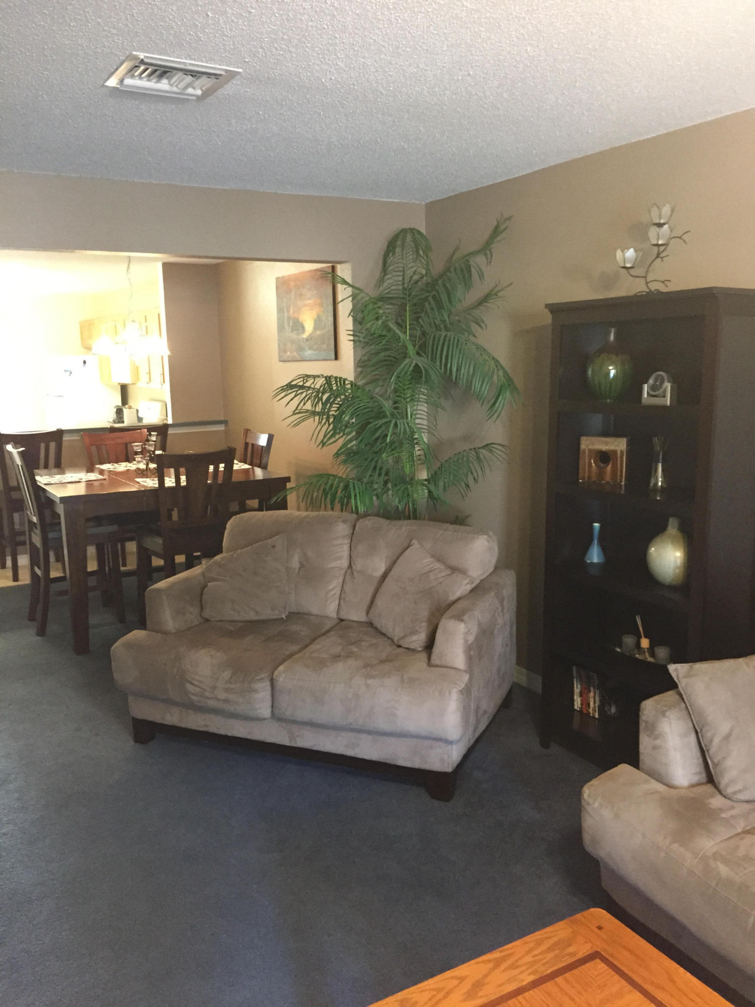 PALMETTO TRACE - Residential