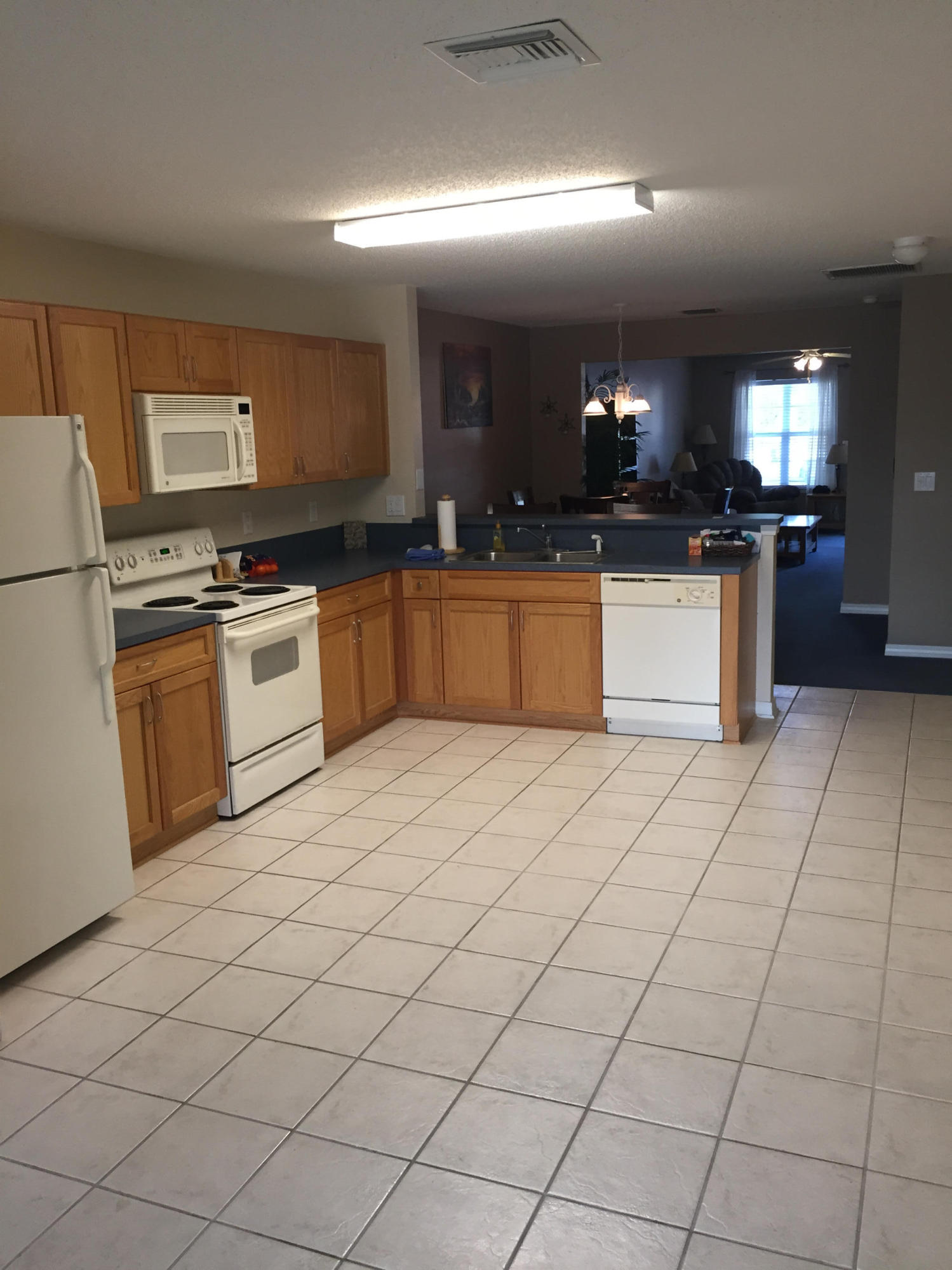 PALMETTO TRACE - Residential