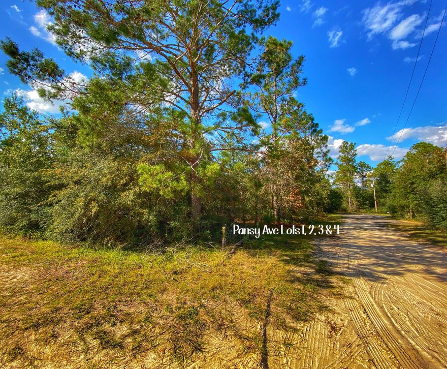 CALLING ALL BUILDERS AND HOMESITE SEEKERS!!! This wooded 1.02 acres consists of four lots. Only minutes from I10 and the beautiful beaches of South Walton. Bring us an offer today!