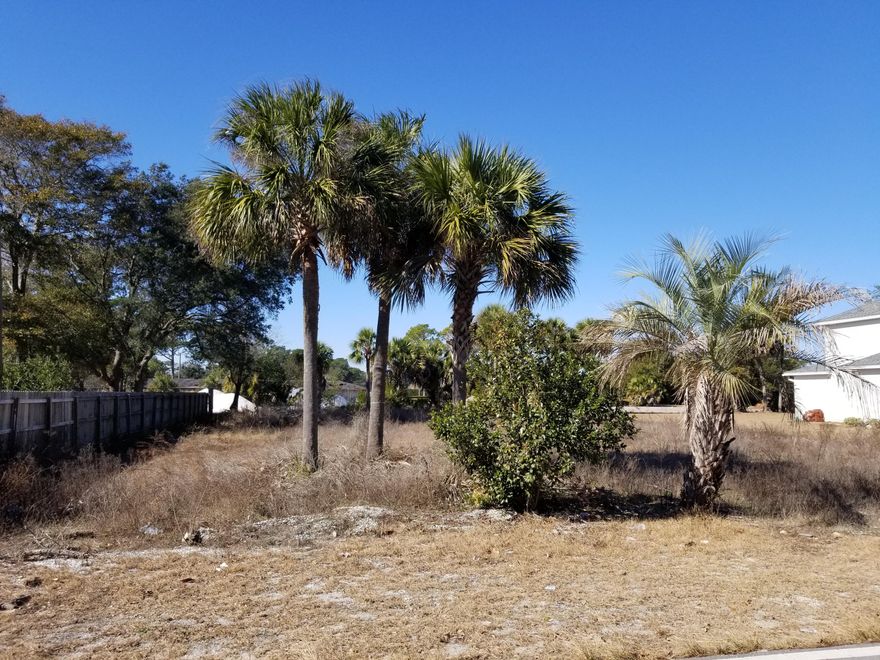 Beautiful level lot ready to build. Lot is located in the desirable neighborhood of Kenwood and backs up to the maintenance area of the FWB golf course. Seller has several floor plans to chose from or you may bring your own plan. Lot is only for sale with a contract to build with Seller.
