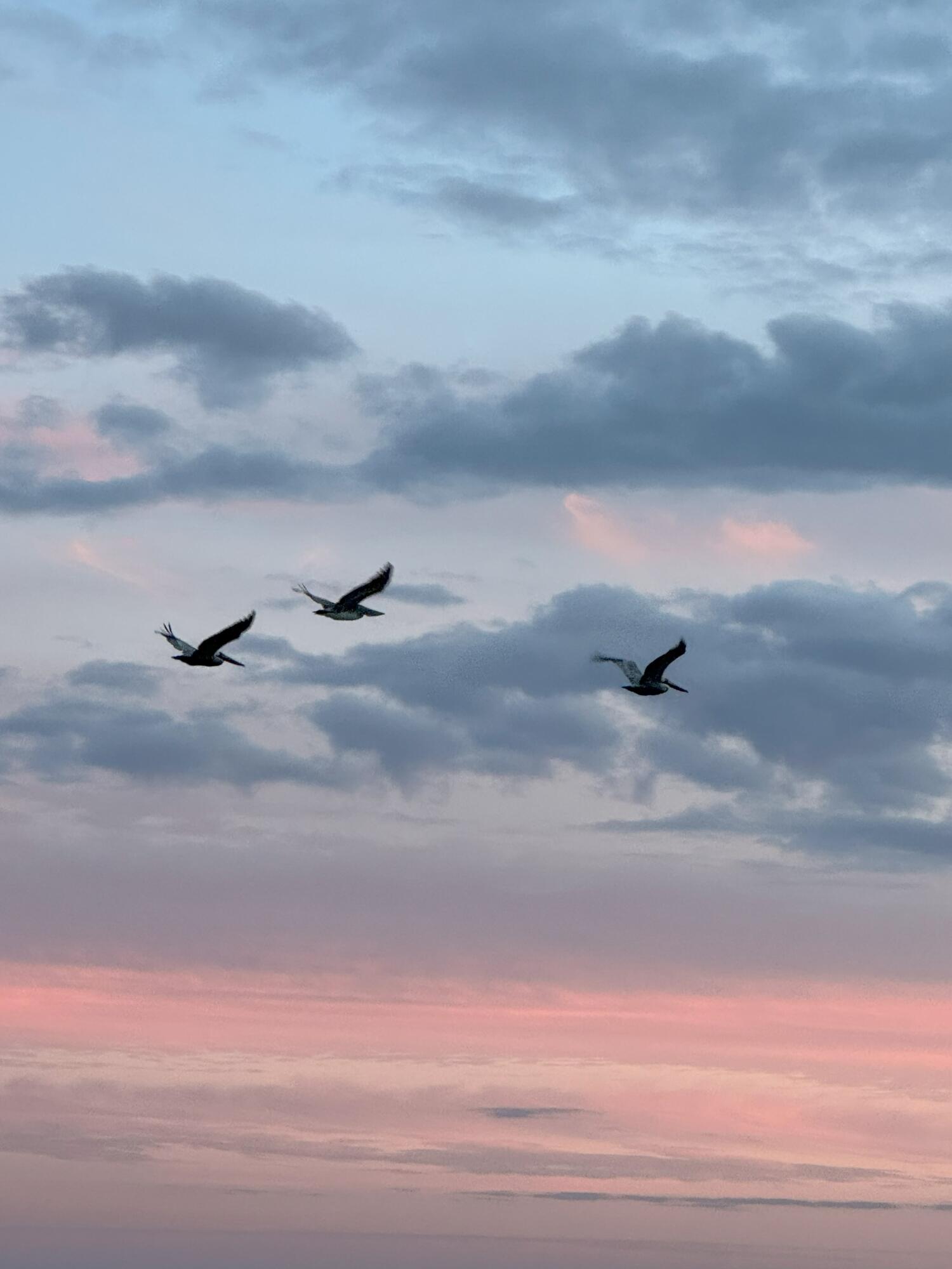 St George Plantation - Land