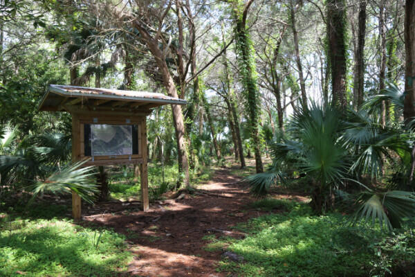 St George Plantation - Land