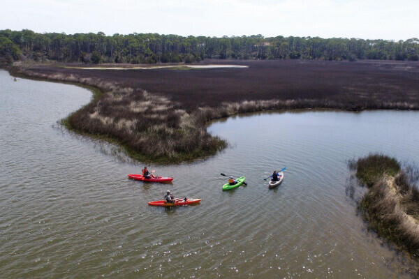 St George Plantation - Land